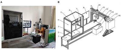 A Framework for Identification of Healthy Potted Seedlings in Automatic Transplanting System Using Computer Vision